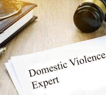 DV CASES Require DV Experts: DUH!